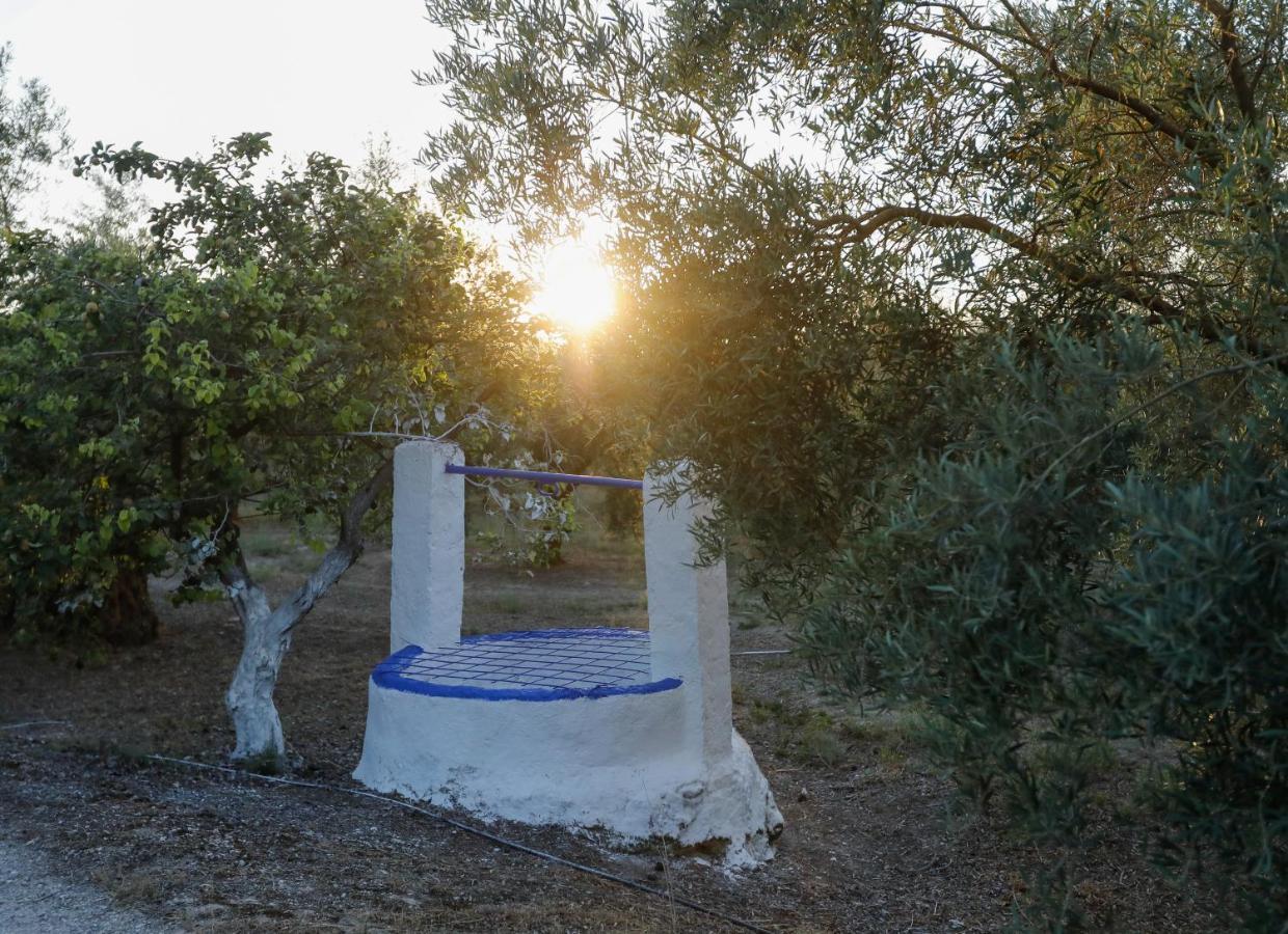 הוילה קברה Cortijo Botanico El Cerro מראה חיצוני תמונה