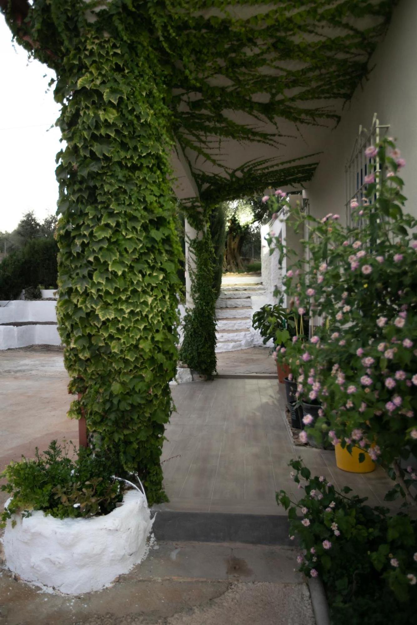 הוילה קברה Cortijo Botanico El Cerro חדר תמונה